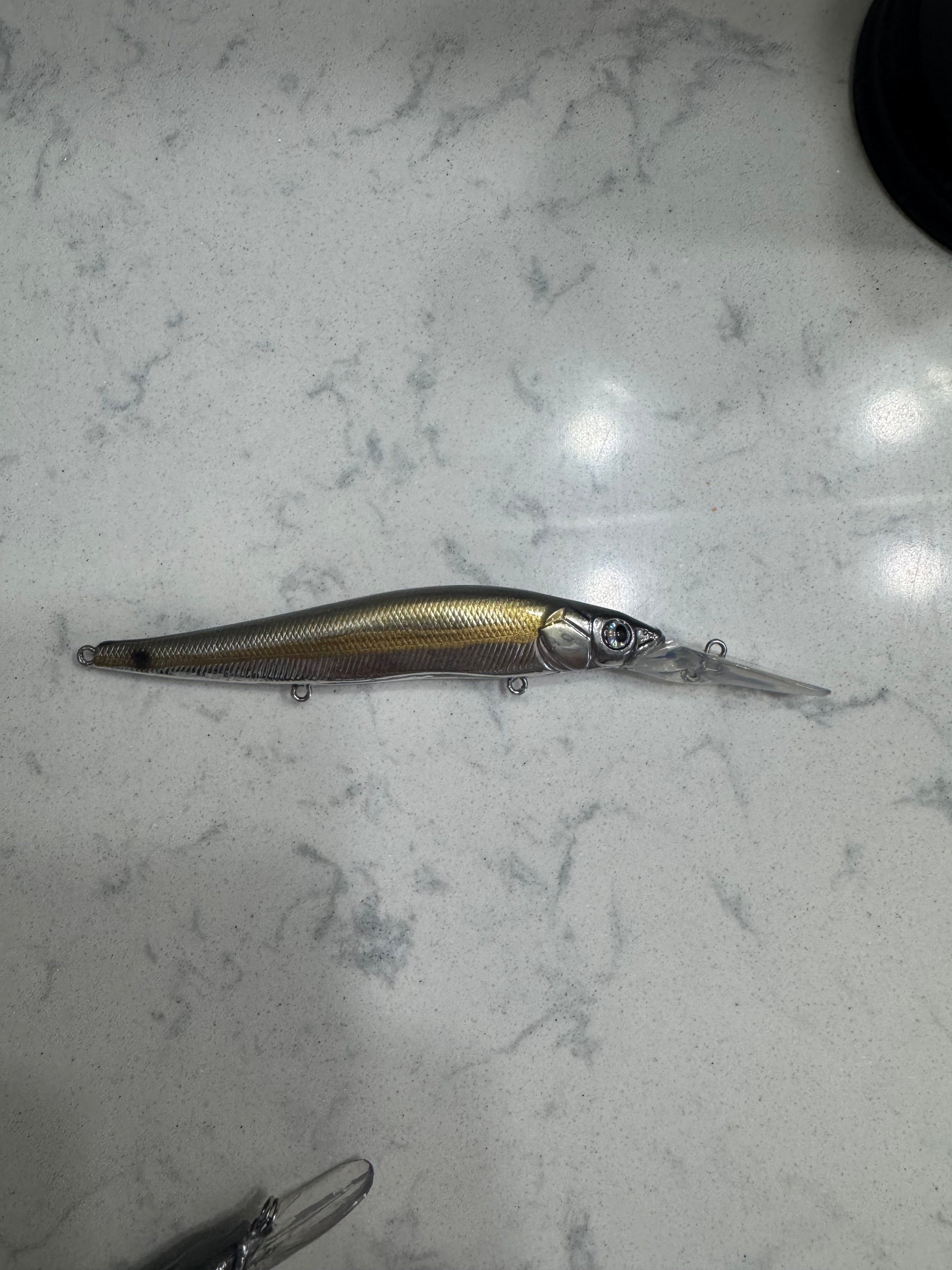 Deep Diving K-Shad  ''Chrome Shiner''